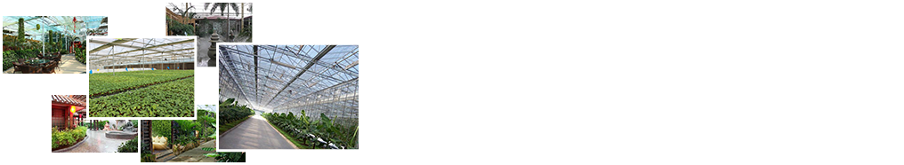 24小時(shí)免費咨詢(xún)、免費技術(shù)指導