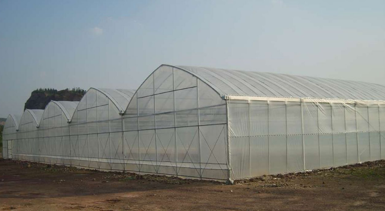 陜西連棟溫室大棚