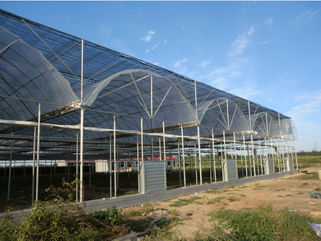 陜西連棟溫室大棚