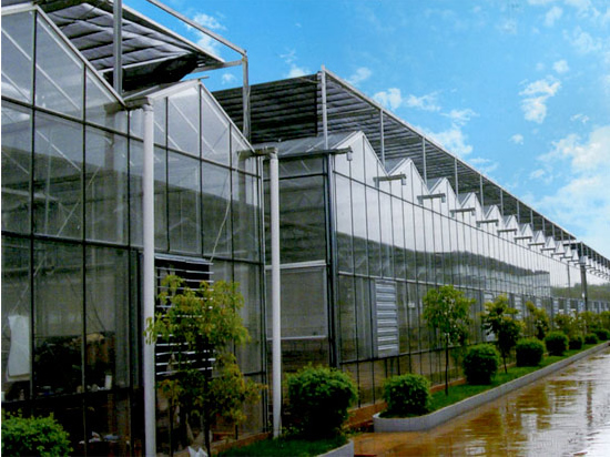 陜西溫室大棚生產(chǎn)廠(chǎng)家 陜西溫室大棚生產(chǎn)廠(chǎng)家