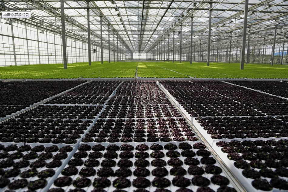 實(shí)力雄厚，品質(zhì)保證！