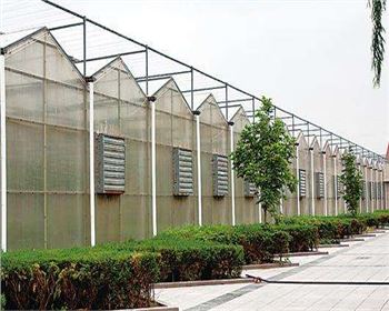 規模大，質(zhì)量好