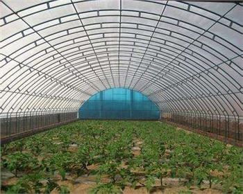 技術(shù)專(zhuān)業(yè)，服務(wù)到位