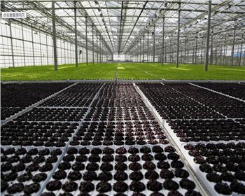 實(shí)力雄厚，品質(zhì)保證！